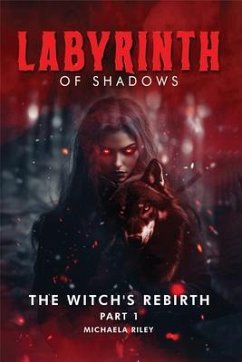 Cover Labyrinth of Shadows (eBook, ePUB)