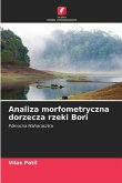 Analiza morfometryczna dorzecza rzeki Bori