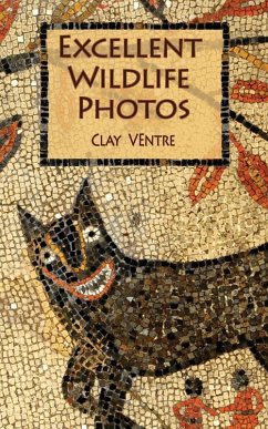 Cover Excellent Wildlife Photos