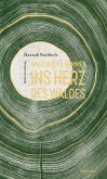 Nach Hause kommen ins Herz des Waldes Nach Hause kommen ins Herz des Waldes