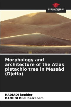 Morphology and architecture of the Atlas pistachio tree in Messâd (Djelfa) - KOUIDER, Hadjadj;Bilal Belkacem, DAOUDI