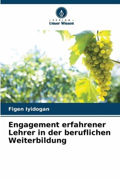 Cover Engagement erfahrener Lehrer in der beruflichen Weiterbildung