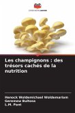 Les champignons : des trésors cachés de la nutrition Les champignons : des trésors cachés de la nutrition