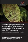 Czarne grzyby li¿ciowe wyst¿puj¿ce w lasach dystryktu Waranagal w stanie Telangana