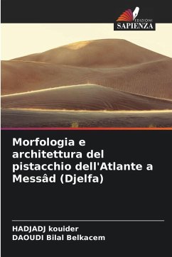 Morfologia e architettura del pistacchio dell'Atlante a Messâd (Djelfa) - KOUIDER, Hadjadj;Bilal Belkacem, DAOUDI Morfologia e architettura del pistacchio dell'Atlante a Messâd (Djelfa) - KOUIDER, Hadjadj;Bilal Belkacem, DAOUDI
