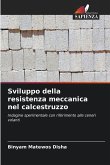 Sviluppo della resistenza meccanica nel calcestruzzo