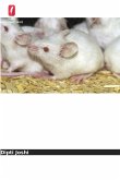 Efeito da suplementação com fluoreto de sódio e aminoácidos nos testículos Efeito da suplementação com fluoreto de sódio e aminoácidos nos testículos