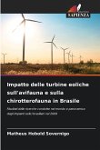 Impatto delle turbine eoliche sull'avifauna e sulla chirotterofauna in Brasile Impatto delle turbine eoliche sull'avifauna e sulla chirotterofauna in Brasile
