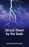Struck Down by the Gods Academic Version (eBook, ePUB)