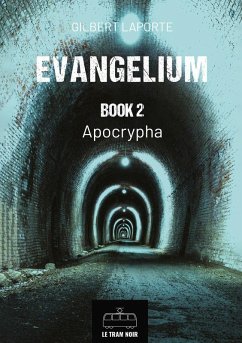 Cover Evangelium - Book 2 (eBook, ePUB)