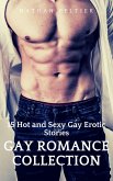 Gay Romance Collection (eBook, ePUB)