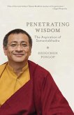Penetrating Wisdom (eBook, ePUB)