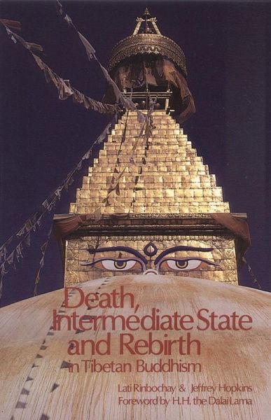 Death, Intermediate State, and Rebirth in Tibetan Buddhism (eBook, ePUB)