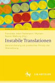 Instabile Translationen (eBook, PDF)
