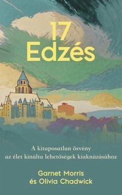 Cover 17 Ezdes (eBook, ePUB)