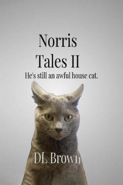 Cover Norris Tales II (eBook, ePUB)