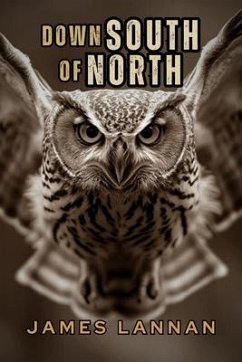 Cover Down South of North (eBook, ePUB)