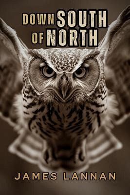Down South of North (eBook, ePUB)