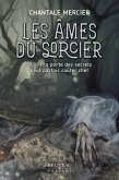 Les âmes du sorcier (eBook, ePUB) Les âmes du sorcier (eBook, ePUB)
