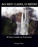 Ao meu lado, o medo (eBook, ePUB)