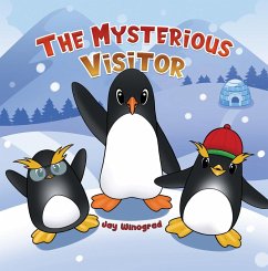 Mysterious Visitor (eBook, ePUB) - Winograd, Jay