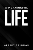 Meaningful Life (eBook, ePUB)