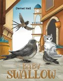 Baby Swallow (eBook, ePUB)