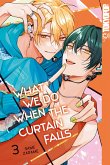 What We Do When the Curtain Falls, Band 03 (eBook, ePUB) What We Do When the Curtain Falls, Band 03 (eBook, ePUB)