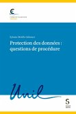 Protection des données : questions de procédure (eBook, PDF)