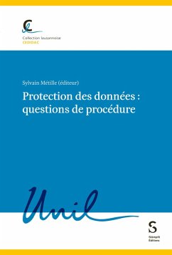 Cover Protection des données : questions de procédure (eBook, PDF)