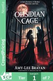 OBSIDIAN CAGE (eBook, ePUB) OBSIDIAN CAGE (eBook, ePUB)