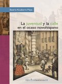 La juventud y la calle en el ocaso novohispano (eBook, PDF)
