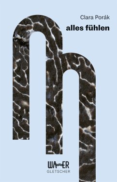 alles fühlen (eBook, ePUB) - Porák, Clara