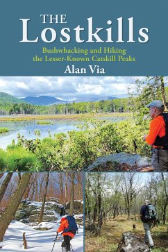 Cover The Lostkills (eBook, ePUB)