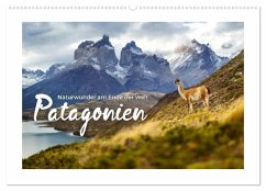 Patagonien - Naturwunder am Ende der Welt (Wandkalender 2026 DIN A2 quer), CALVENDO Monatskalender