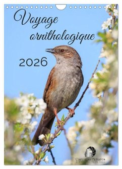 Cover Voyage ornithologique (Calendrier mural 2026 DIN A4 horizontal), CALVENDO calendrier mensuel
