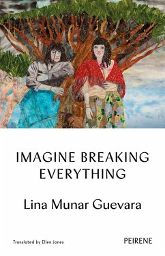 Cover Imagine Breaking Everything (eBook, ePUB)