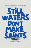 Still Waters Don't Make Saints (eBook, ePUB)