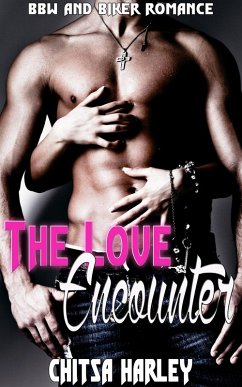 Cover The Love Encounter (eBook, ePUB)