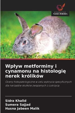 Cover Wp¿yw metforminy i cynamonu na histologi¿ nerek królików
