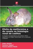 Efeito da metformina e da canela na histologia renal de coelhos Efeito da metformina e da canela na histologia renal de coelhos