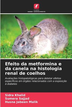 Cover Efeito da metformina e da canela na histologia renal de coelhos