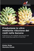 Produzione in vitro mediante riduzione dei costi nella banana Produzione in vitro mediante riduzione dei costi nella banana
