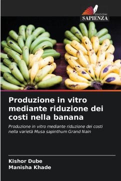 Cover Produzione in vitro mediante riduzione dei costi nella banana