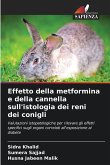 Effetto della metformina e della cannella sull'istologia dei reni dei conigli Effetto della metformina e della cannella sull'istologia dei reni dei conigli
