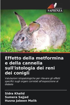 Cover Effetto della metformina e della cannella sull'istologia dei reni dei conigli