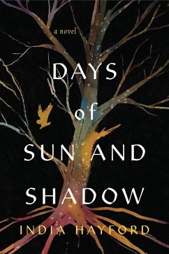 Cover Days of Sun and Shadow