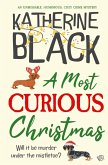 A Most Curious Christmas