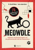 Meowdle Meowdle