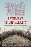 Pathways to Complexity (eBook, ePUB)